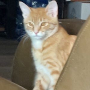 Meet your Posher, Noelia